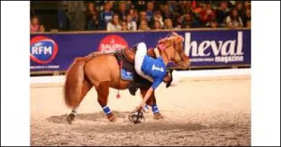 Quelle est cette activité ?