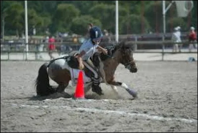 Quelle est cette activité du PG ?