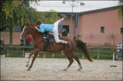 Quelle est cette activité du PG ?