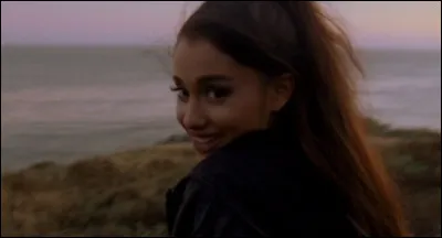 De quel vid&eacute;oclip s'agit-il ?