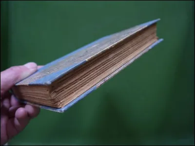 Qui a écrit "Souvenirs d'égotisme" ?