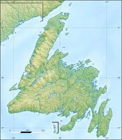 Quelle race de chien porte le nom d'une grande &icirc;le situ&eacute;e au large de la c&ocirc;te atlantique de l'Am&eacute;rique du Nord ?