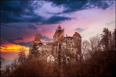 La nuit arrive en Transylvanie ! Restez chez vous car pour son propriétaire, le comte Dracula, c'est l'heure de dîner.