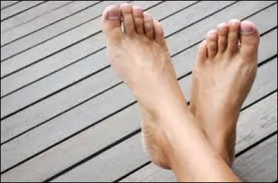 Même pas peur, pour créer ce quiz, j'ai décidé de ... les ... dans le ... !