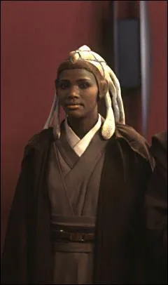 Quelle le lien de parent entre Stass Allie et Adi Galia ?