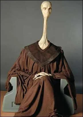 De quoi faisait partie Yarael Poof ?