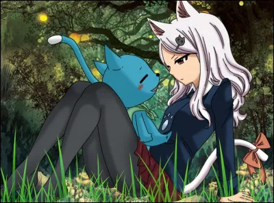 Quel &eacute;tait le but d'envoyer des exeeds sur terre ?