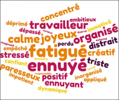 Quel adjectif te correspond le mieux ?