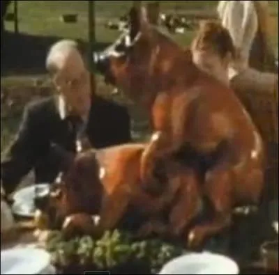 Ce joyeux banquet se droule dans :