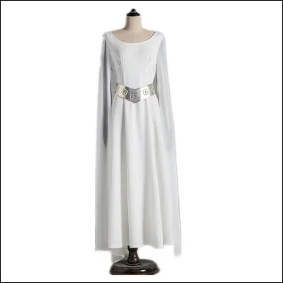 Dans quel film retrouve-t-on cette robe ?