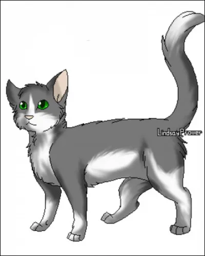 Je suis une chatte du Clan du Vent et mon mentor est Moustache. Il devient mon compagnon par la suite.
Qui suis-je ?