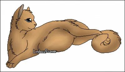 J'ai eu 2 compagnes et 5 petits. Je suis aussi le meilleur ami d'Étoile de Feu. 
Qui suis-je ?