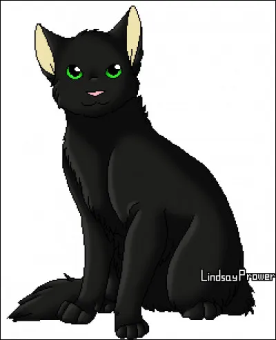 Moi, qui avait peur de mon mentor, je suis à présent bien plus heureux loin de mon clan en solitaire avec Gerboise.
Qui suis-je ?