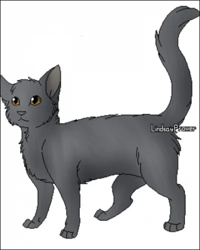 Nous avons eu du mal à nous intégrer dans notre clan à cause de nos origines mais, une fois devenue apprentie ma sur est partie rejoindre le clan de notre père. 
Qui sommes-nous ?