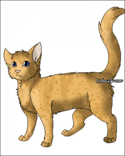 Je suis le premier chat à avoir été baptisé par Étoile de Feu.
Qui suis-je ?