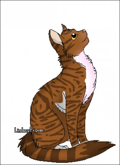 J'ai eu 3 petits, mais un est mort pendant le voyage jusqu'à leur père. Je suis aussi chef de clan entre Étoile du Soleil et Étoile de Feu. 
Qui suis-je ?