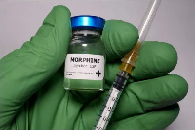 Mor comme morphine : où va-t-on la chercher ?