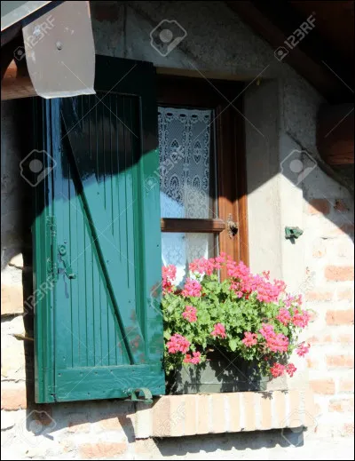 Quel déterminant allemand mettrais-tu devant "fenêtre" ?
____ Fenster