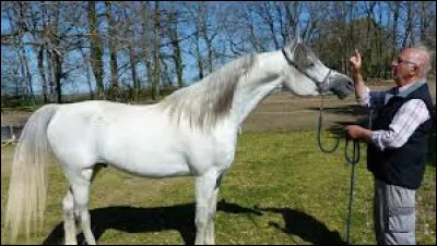 Quelle est cette robe ?