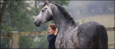 Quelle est cette robe ?