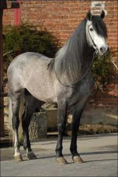 Quelle est cette robe ?