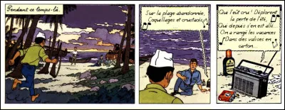 Moi, j'aime pas trop les coquillages parce qu'ils s'incrustent assez... Qui chantait ce tube, à la radio ?