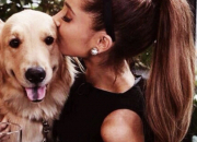 Quiz Les chiens d'Ariana Grande (2)