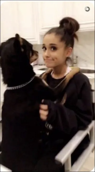 De quelle race est-il ?