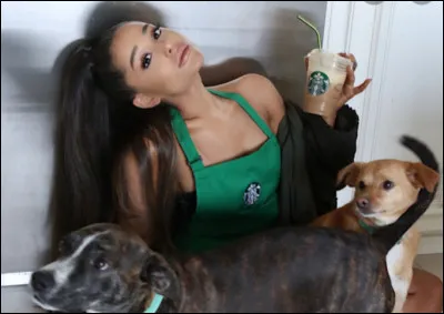 Pourquoi ce chien vit-il chez ses amis ?