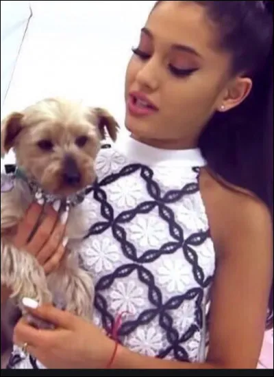 De quelle race est-il ?