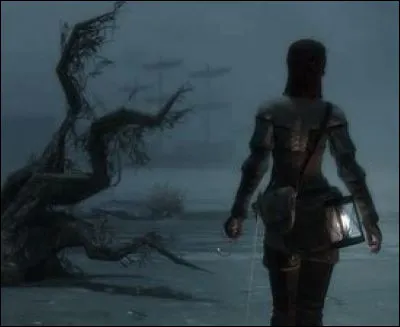 Enfin, quelle couleur recouvre le visage de Safia, la terrible pirate que vous devrez éliminer lors de votre tout dernier contrat ?