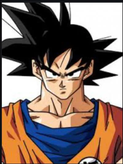 De quelle race est ce personnage ?