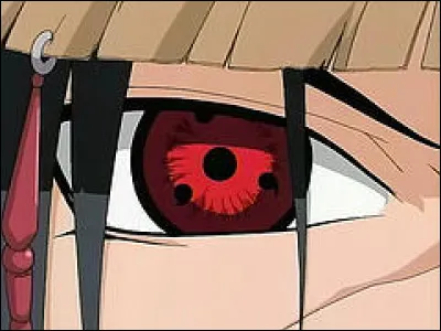 Il est possédé par son passé, il a les cheveux bruns et manie le feu.