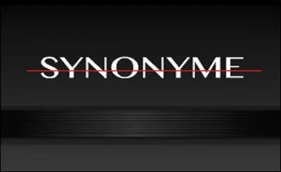 Quel mot n'est PAS synonyme de faute ?