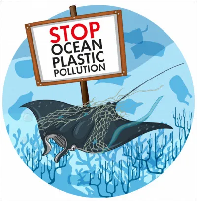 Tu te promènes sur la plage. Tu vois un animal marin en voie de disparition mort sur le bord de l'eau ligoté à des filets de pêche.