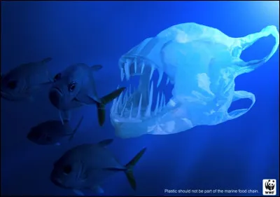 Aimerais-tu que la situation s'améliore dans quelques années ?