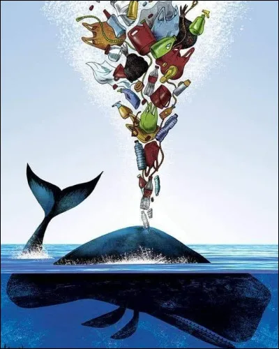 Tu marches dans la rue et il y a plein de déchets, que fais-tu ?