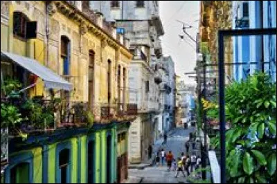 Laquelle de ces propositions ne s'appelle pas "Havana" ?