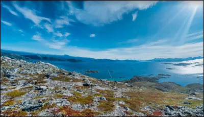 Et nous avons un bonus ! Cap pour la localité de Mjølvik !
Dans quel comté est-elle ?