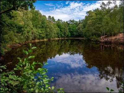 Pour cette dernière, connue pour ses récits légendaires, vous aurez besoin d'un druide pour vous guider au coeur de cette forêt. Le poète anglo-normand Robert Wace la fait entrer dans lhistoire avec le roman de Rou. 
Quelle est cette forêt ?