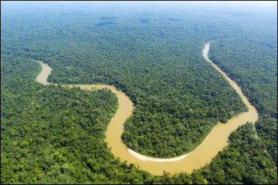 On commence par la plus célèbre pour sa grandeur et malheureusement, sa déforestation. 
Quelle est cette forêt ?