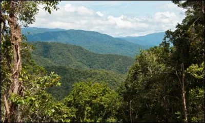 Située au nord de l'Australie, ma capitale est Port-Moresby. L'autre moité de mon île est indonésienne. Je suis encore inexplorée à certains endroits. Que suis-je ?