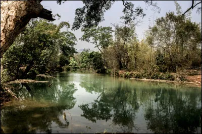 On repart en Asie où se trouve l'une des plus anciennes forêts tropicales du monde. Elle abrite des éléphants, des gibbons et des tigres. Vous avez reconnu la forêt...