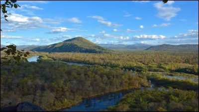 Toujours en Asie, la forêt suivante abrite des tigres de Sibérie, des léopards ainsi que des ours. Elle est située au sud-est de la Russie. De quelle forêt s'agit-il ?