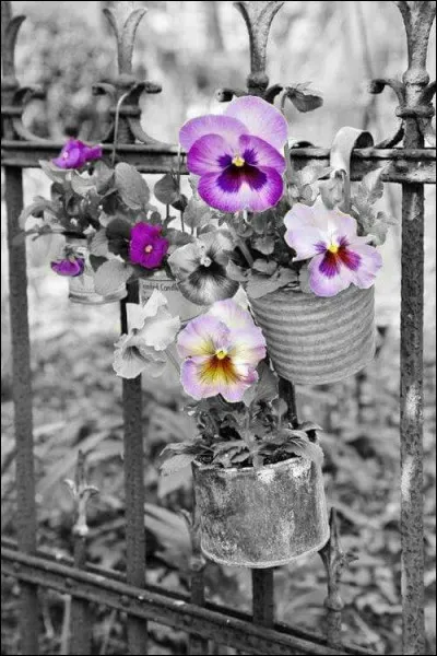 En France, quel est le jour de la fête des morts ?