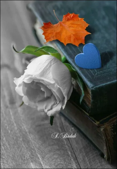 Où est le mort dans un titre d'un livre d'Agatha Christie ?