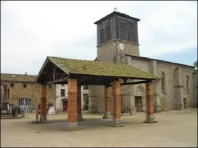 Commune d'Auvergne-Rhône-Alpes, dans l'arrondissement d'Ambert, Domaize se trouve dans le département ...