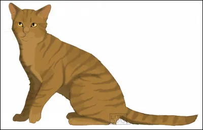 Ton caractère est plutôt :