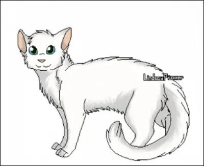 Si tu apprends qu'une femelle attend des petits, quelle est ta réaction ?