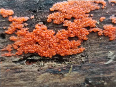 Quel est mon ancien nom ?